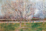Orchard in Blossom