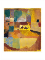 Due dromedari ed un asino