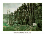 Poplars